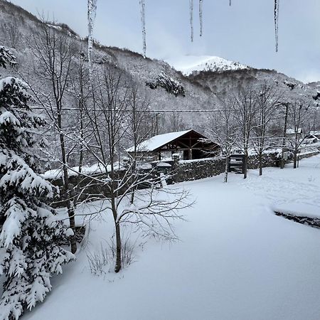科拉欣Biocinovici Vikendica别墅 外观 照片